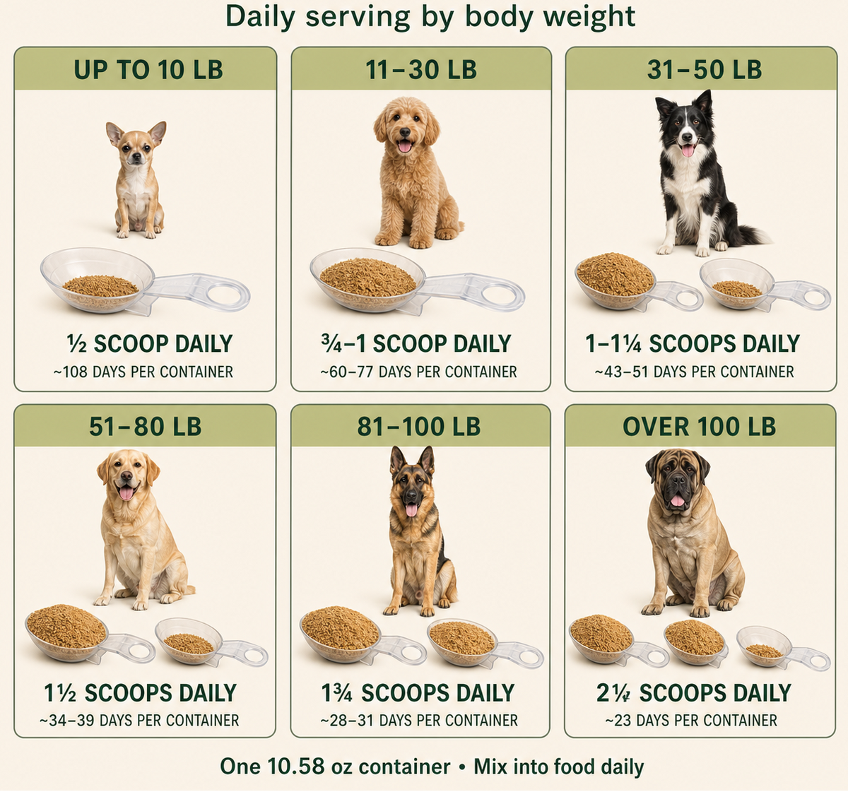 An informational chart titled 'How Much ReVet Does Your Dog Need?' showing six panels with different dog body weight ranges and corresponding daily scoop recommendations for dog food. Each panel includes a dog photo, a bowl of kibble, and serving guidance.