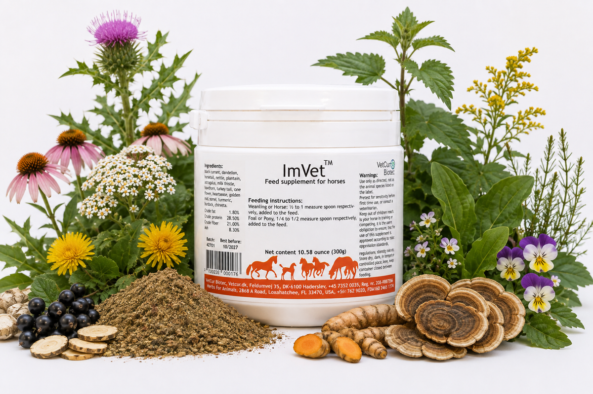 ImVet Horse Herbals outline.png__PID:9418ffb8-1990-4a89-b995-c39dca46fc4a