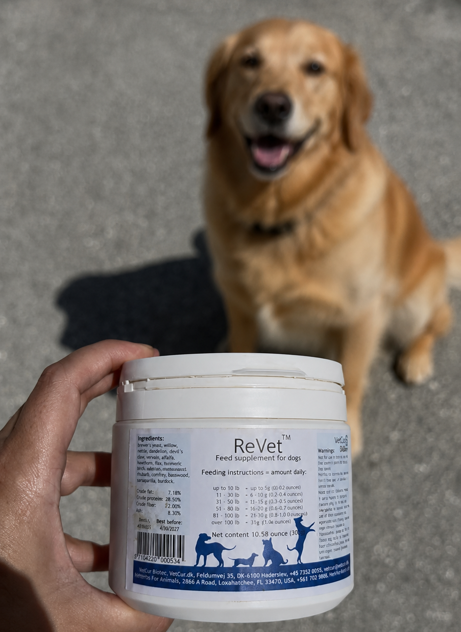 A hand holds a white plastic jar of ReVet dog food treatment in the foreground, with a golden retriever dog sitting in the blurred background on an asphalt surface.