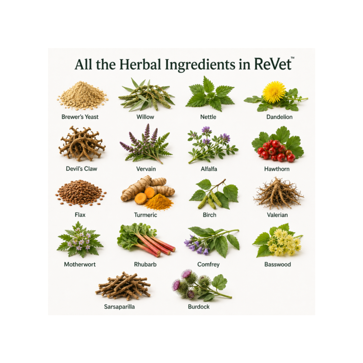 A collage of 24 different herbal ingredients, each shown as a small labeled photo with the ingredient name underneath. The herbs and roots include Brewer's Yeast, Willow, Nettle, Dandelion, Devil's Claw, Vervain, Alfalfa, Hawthorn, Flax, Turmeric, Birch, Valerian, Motherwort, Rhubarb, Comfrey, Basswood, Sarsaparilla, and Burdock, arranged on a light gray background.