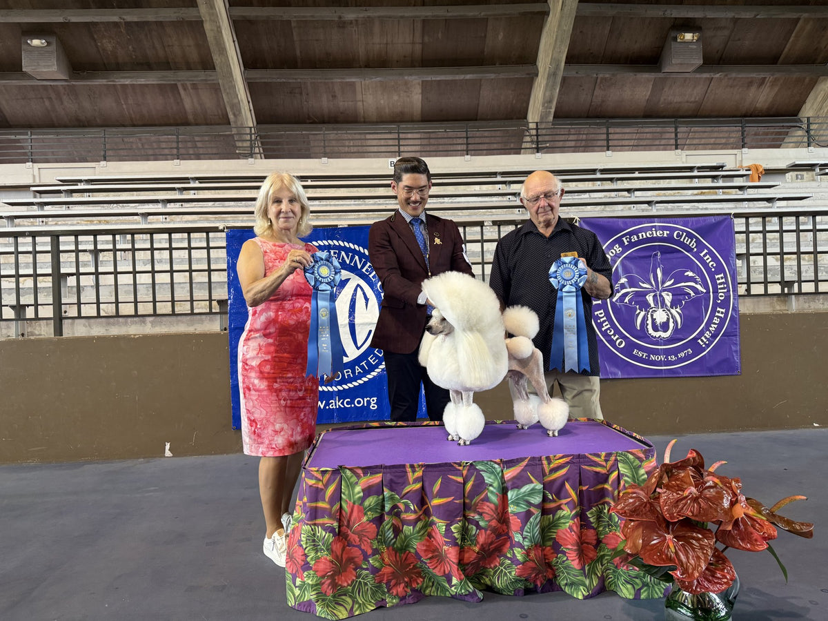 Fynn orchid isle show