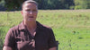 VetCur introduction with Rebekka, horses and cats — full video with sound