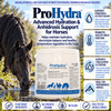 VetCur ProHydra Horse - Herbs for Animals