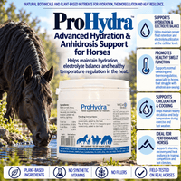 VetCur ProHydra Horse - Herbs for Animals