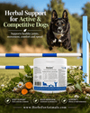 VetCur ReVet Dog - Herbs for Animals