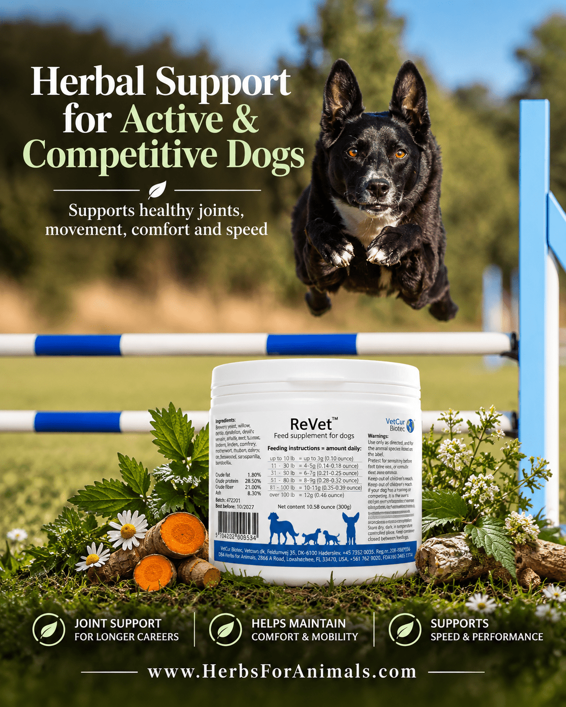VetCur ReVet Dog - Herbs for Animals
