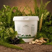 VetCur ViVet Horse - Herbs for Animals